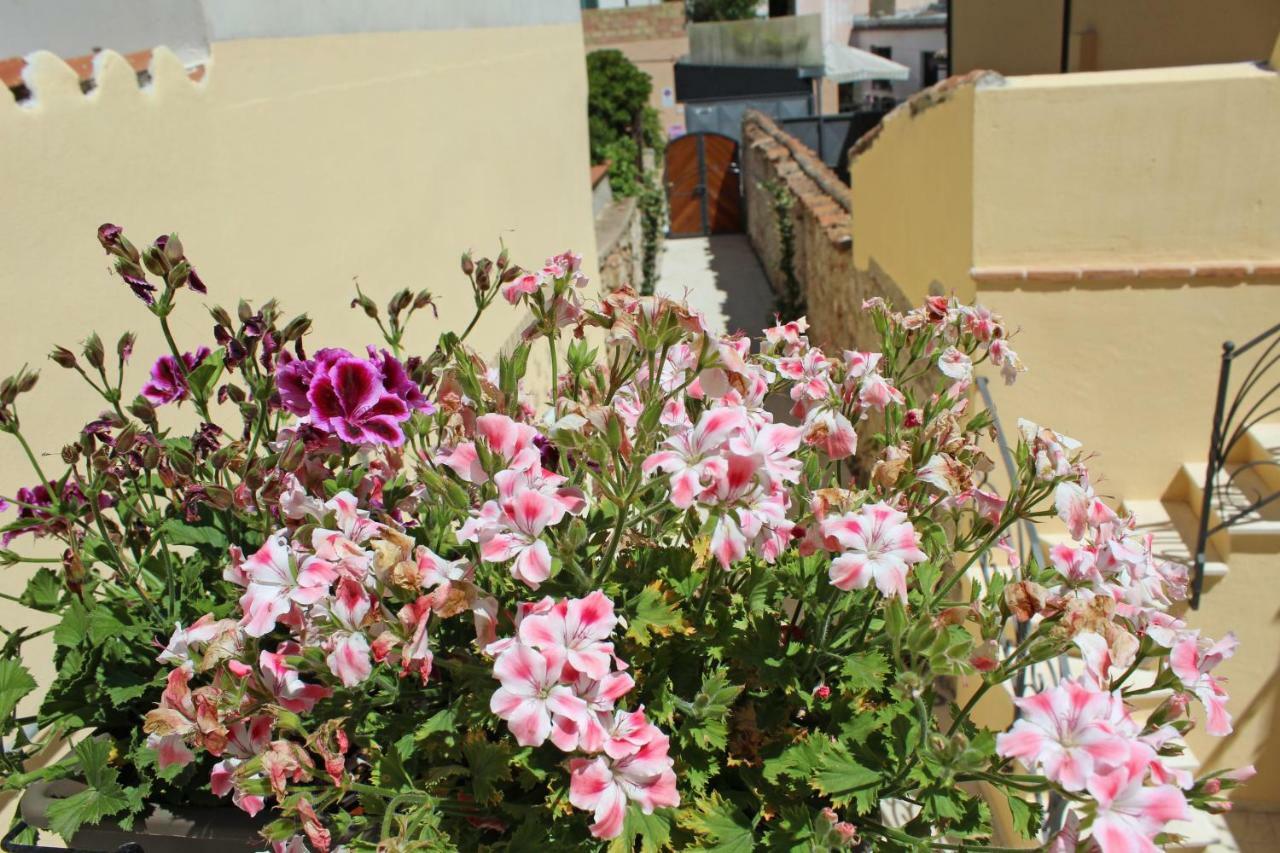 Ogliastra Luxury Apartment - Ajpsardinia Tortolì Dış mekan fotoğraf